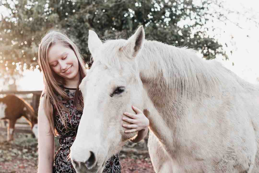 Comment dompter les animaux ?