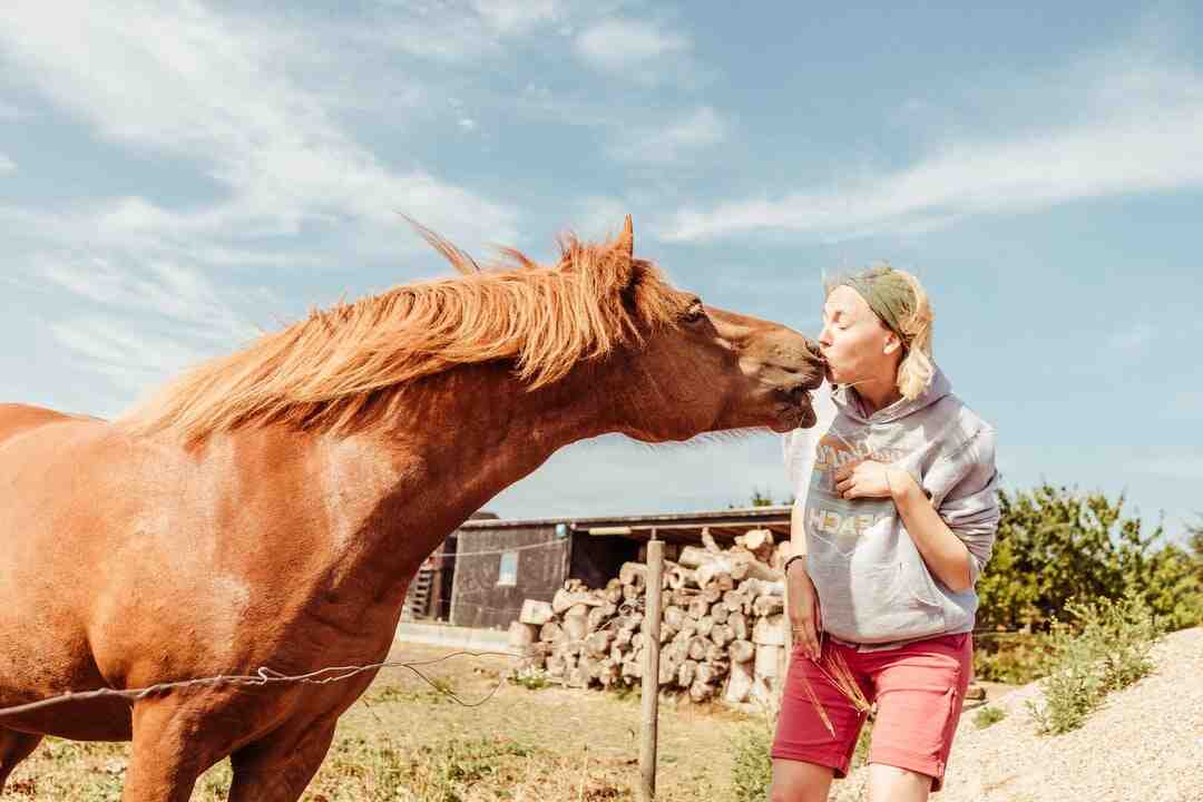 Quelle est l'étymologie du mot cavalerie ?