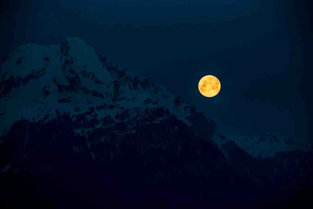 Comment gagner à coup sûr aux paris sportifs ?