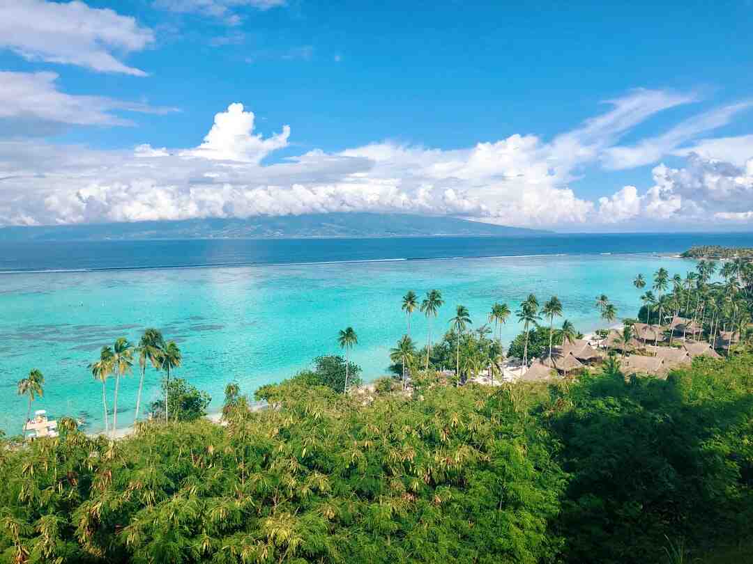 Quel est le meilleur passeur du monde ?