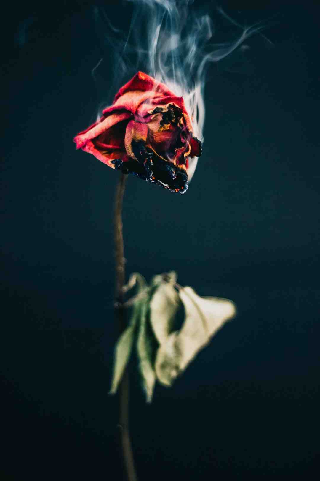 Quels sont les matchs de football d'aujourd'hui ?