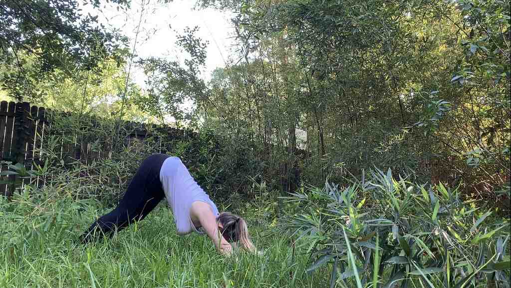 Où faire un BTS MCI ?