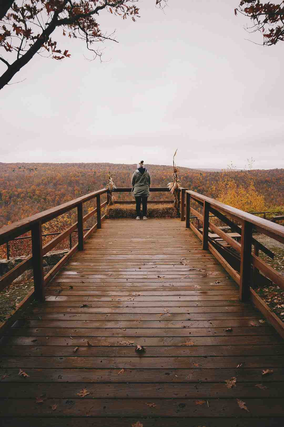 Où regarder le match du PSG ce soir ?
