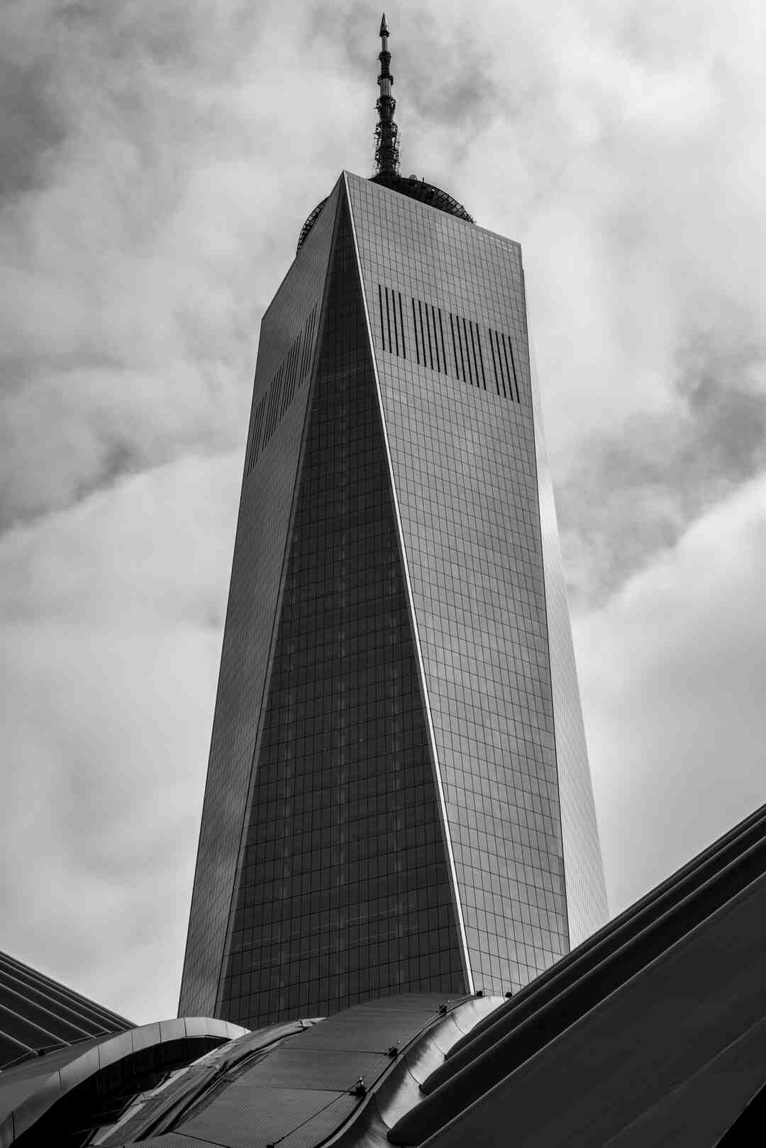 Pourquoi organiser une Coupe du monde ?