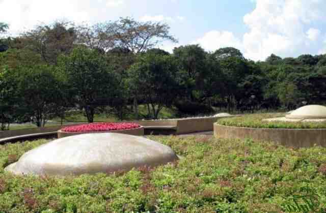 Où jouer sur gazon en France ?