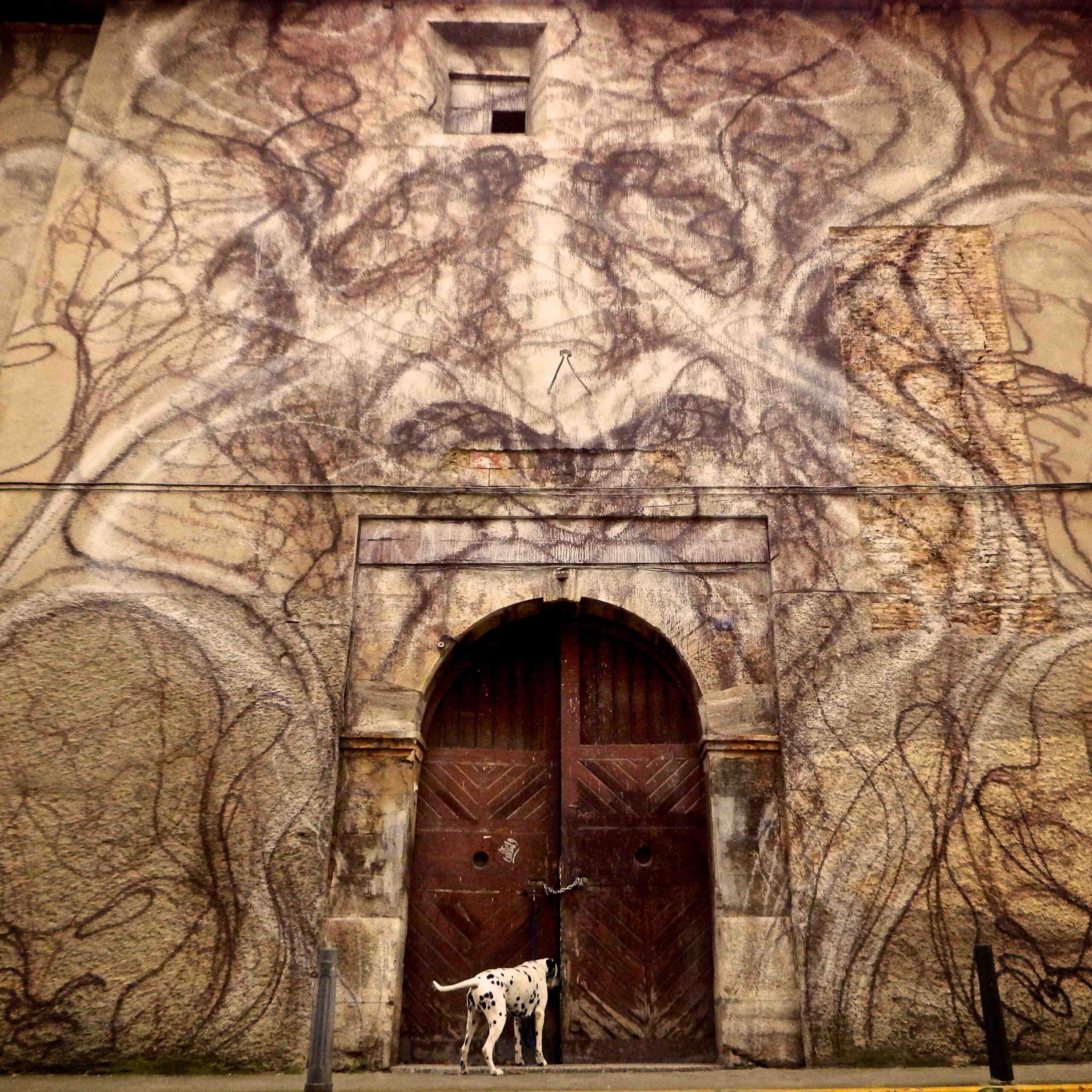 Quelle véhicule acheter en 2022 ?