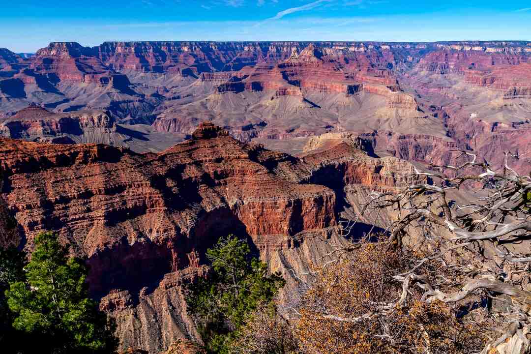 Qui a gagné les 4 tournois du Grand Chelem la même année ?