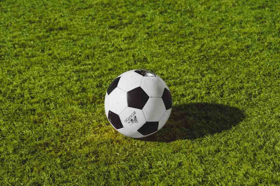 Qui est le meilleur joueur 2021 2022 ?