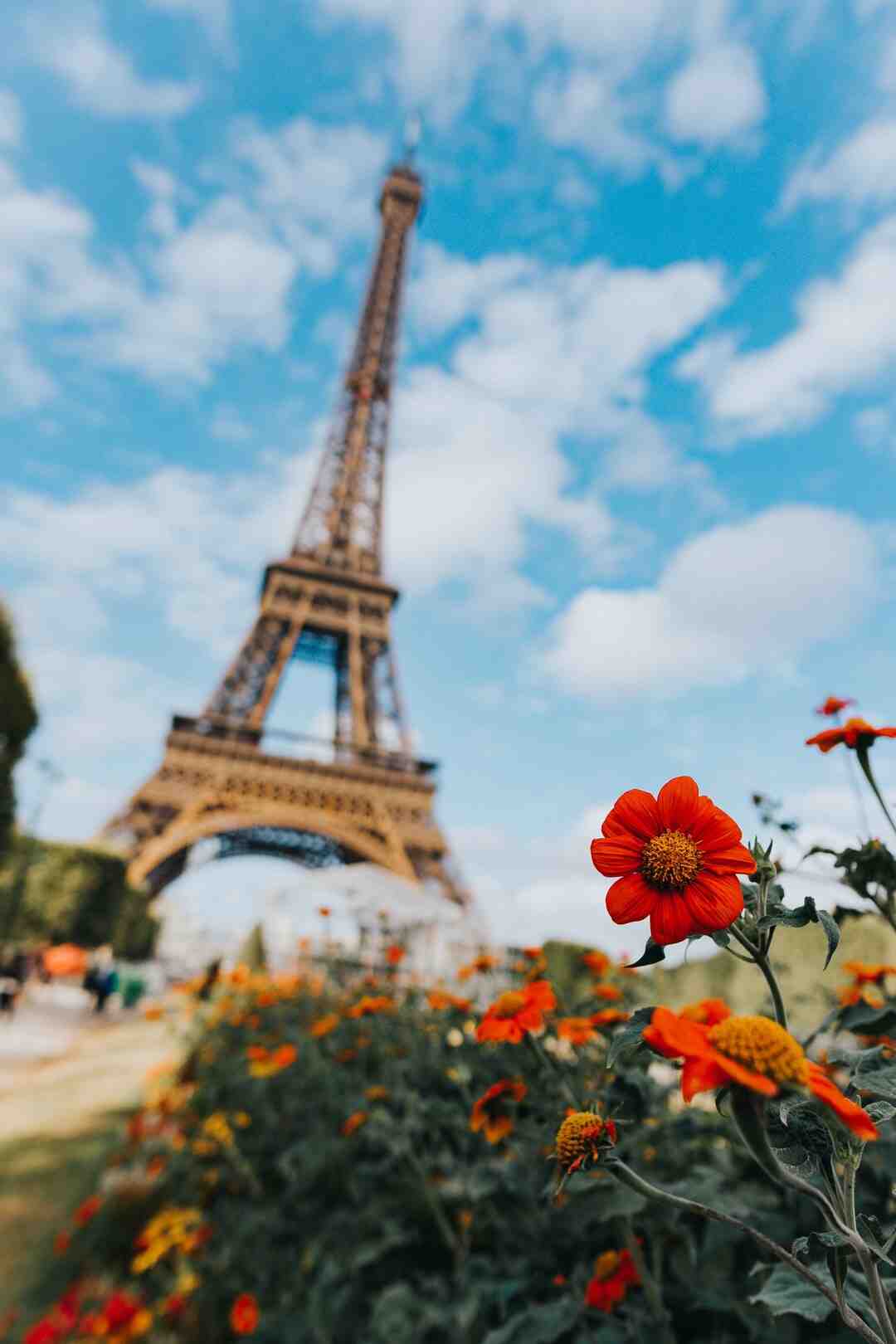 Quels sont les matchs joués par la France ?