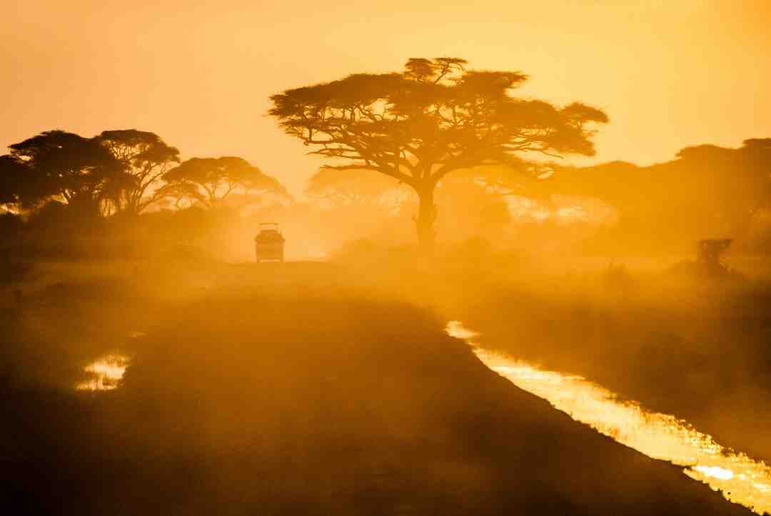 Est-ce que le Cameroun est qualifié pour la Coupe du Monde ?