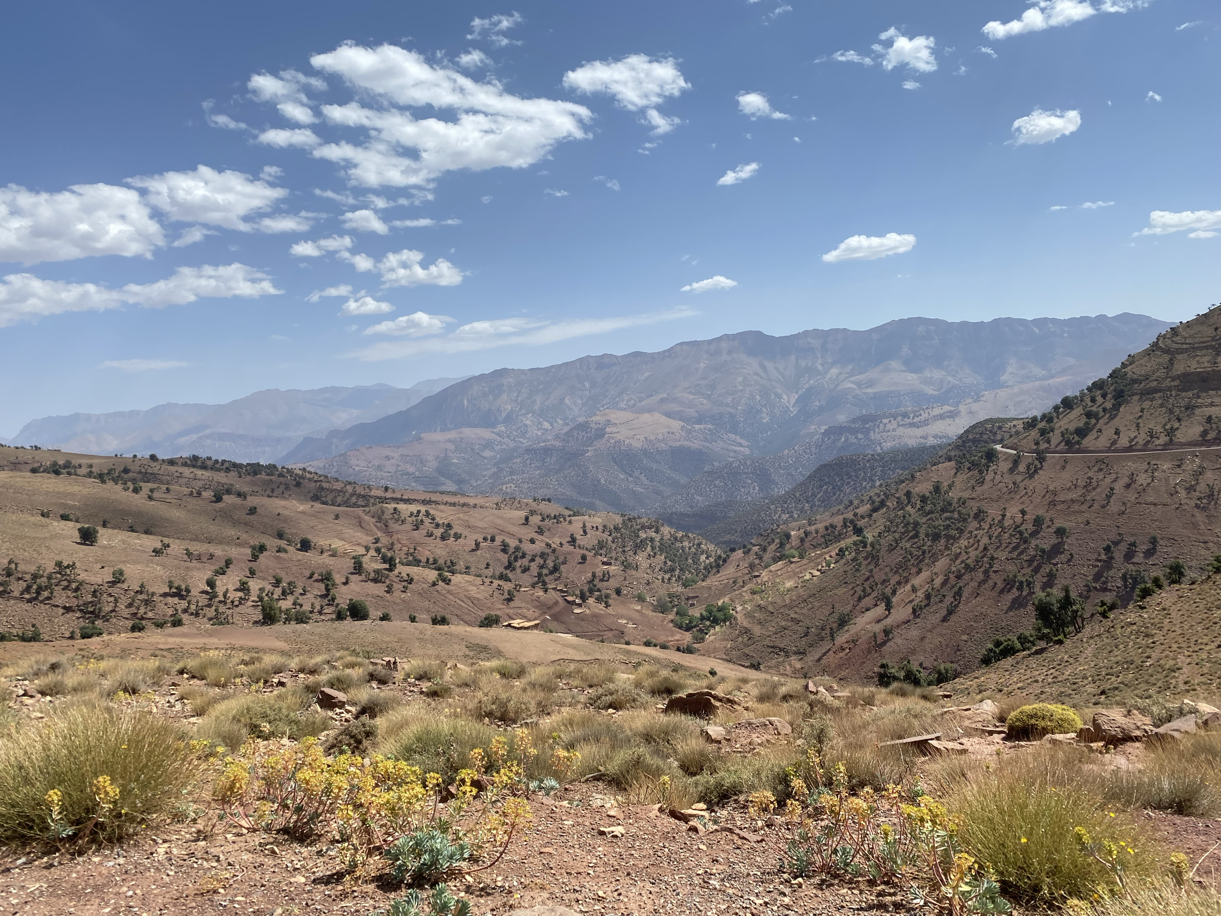 Quelle est la boule de pétanque la plus tendre ?