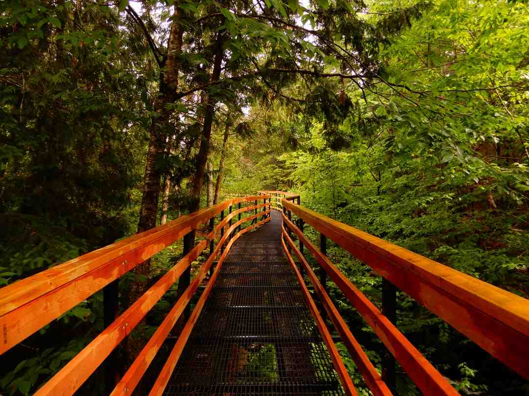 Qui a gagné Roland-Garros cet Après-midi ?