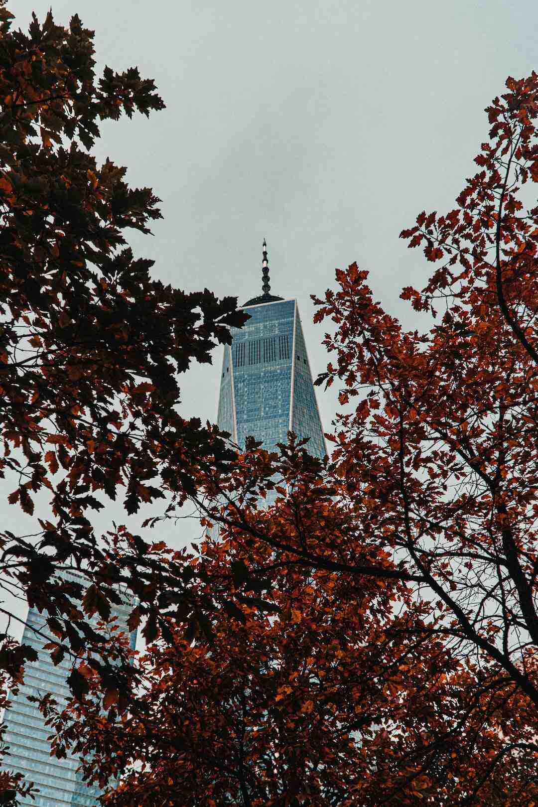 Quand est la prochaine Coupe du monde de volley ?