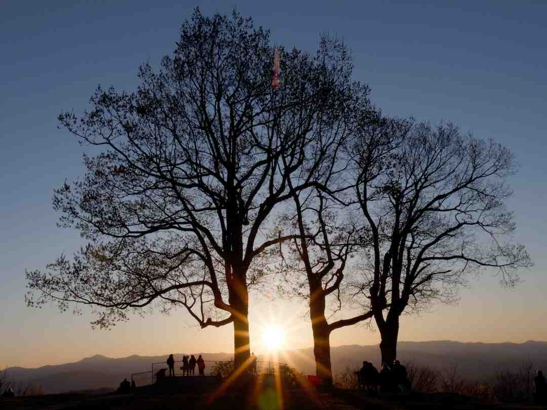 Quel certificat médical pour saut en parachute ?
