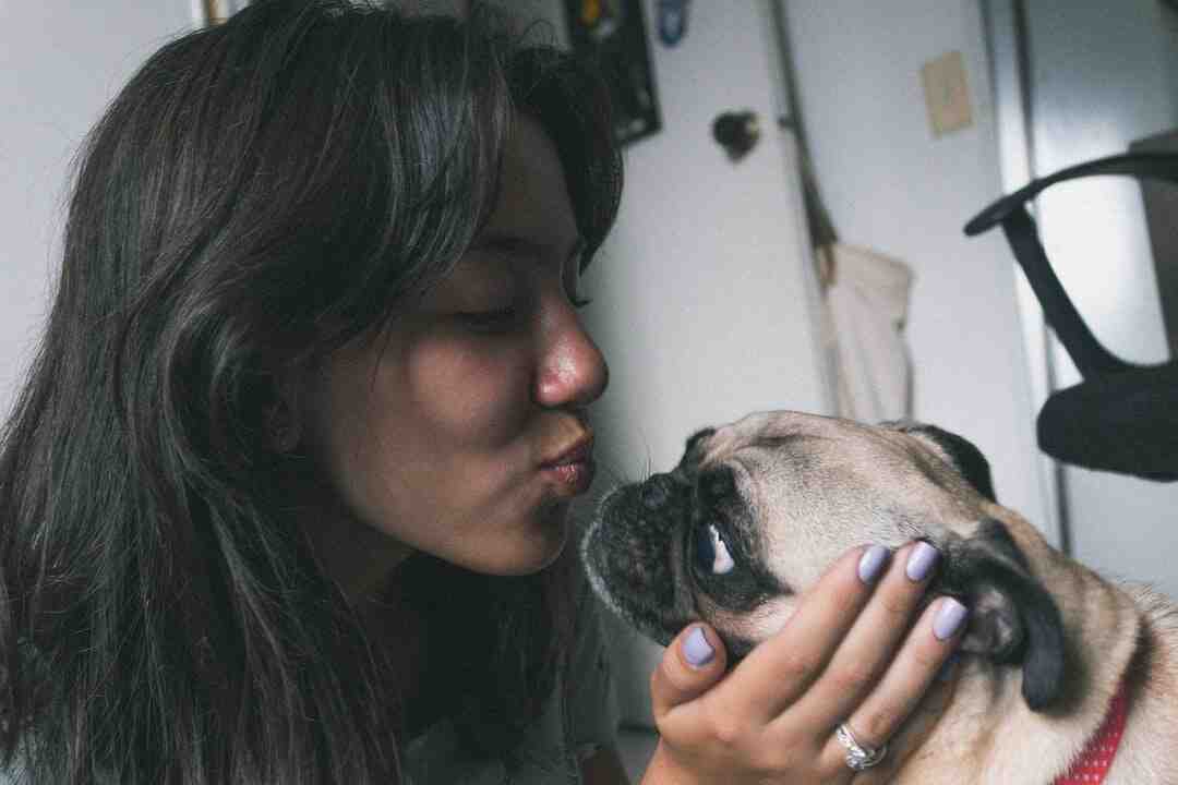 Quel est le plus grand championnat du monde ?