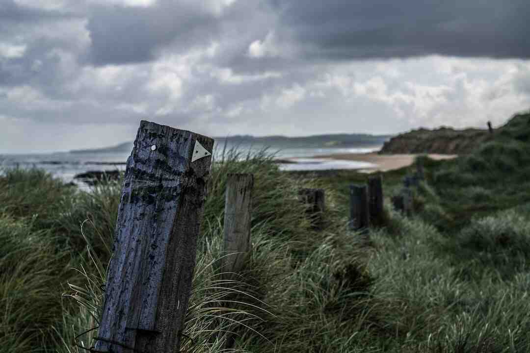 Qui es Jean-louis Gasset ?